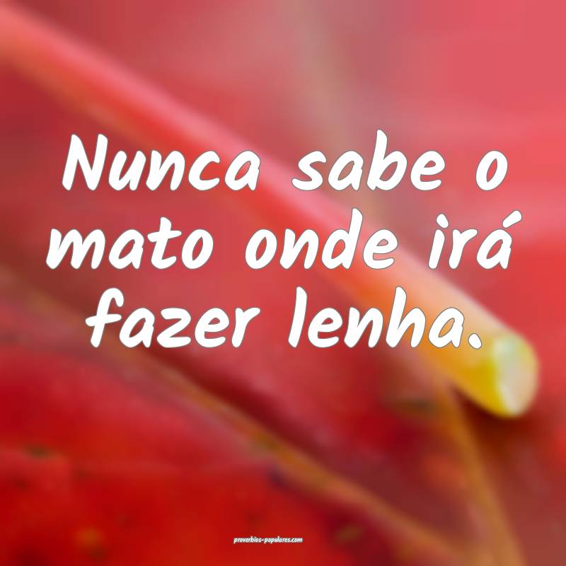 Nunca sabe o mato onde irá fazer lenha.
 ...