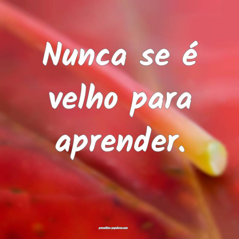 Nunca se é velho para aprender.
...
