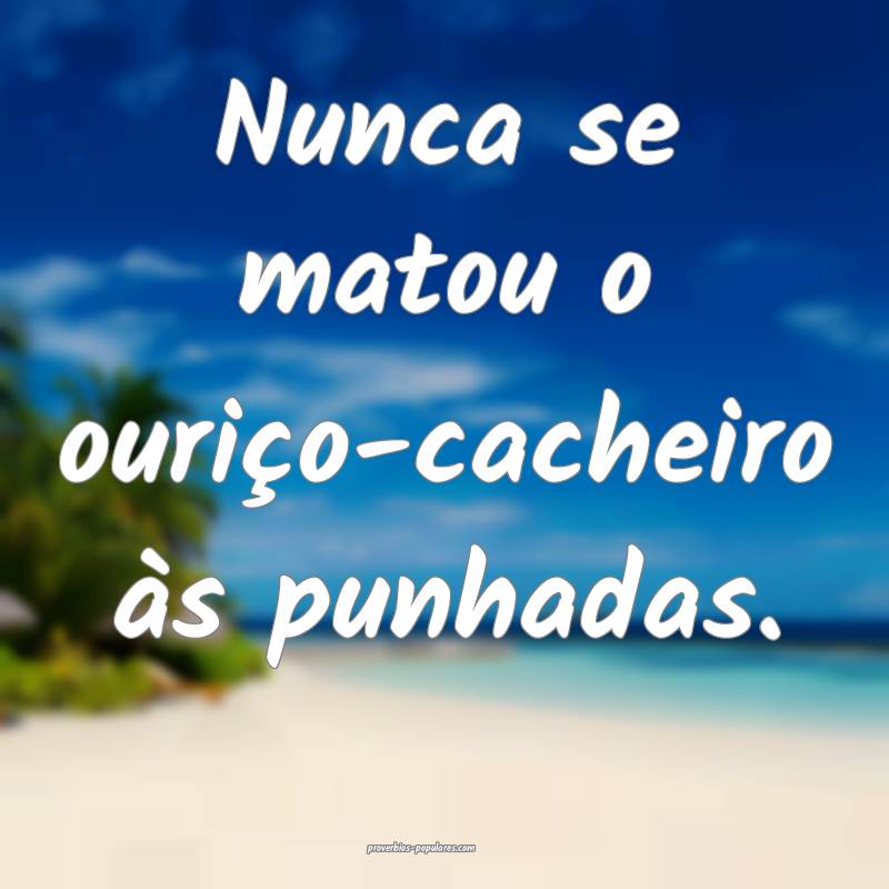 Nunca se matou o ouriço-cacheiro às punhadas.
 ...