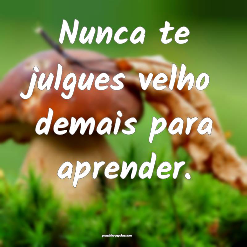 Nunca te julgues velho demais para aprender.
...