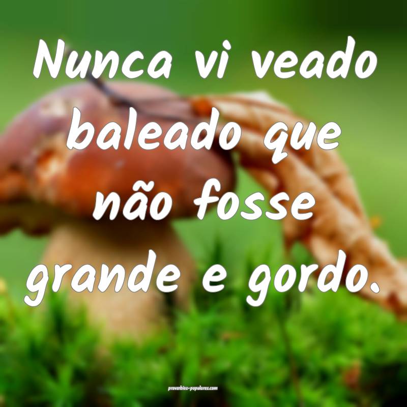 Nunca vi veado baleado que não fosse grande e gor ...