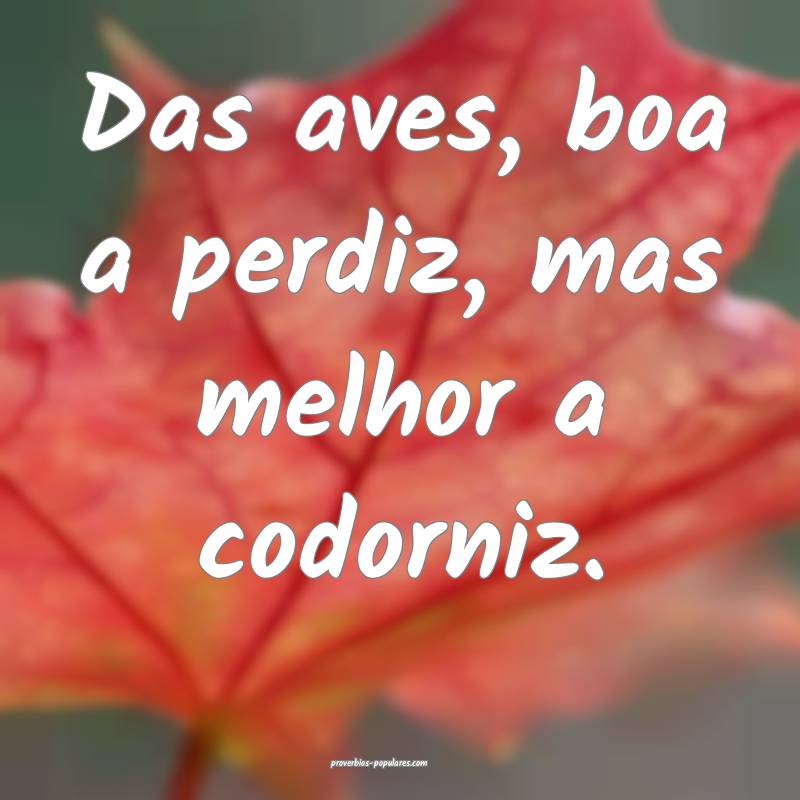 Das aves, boa a perdiz, mas melhor a codorniz.
...