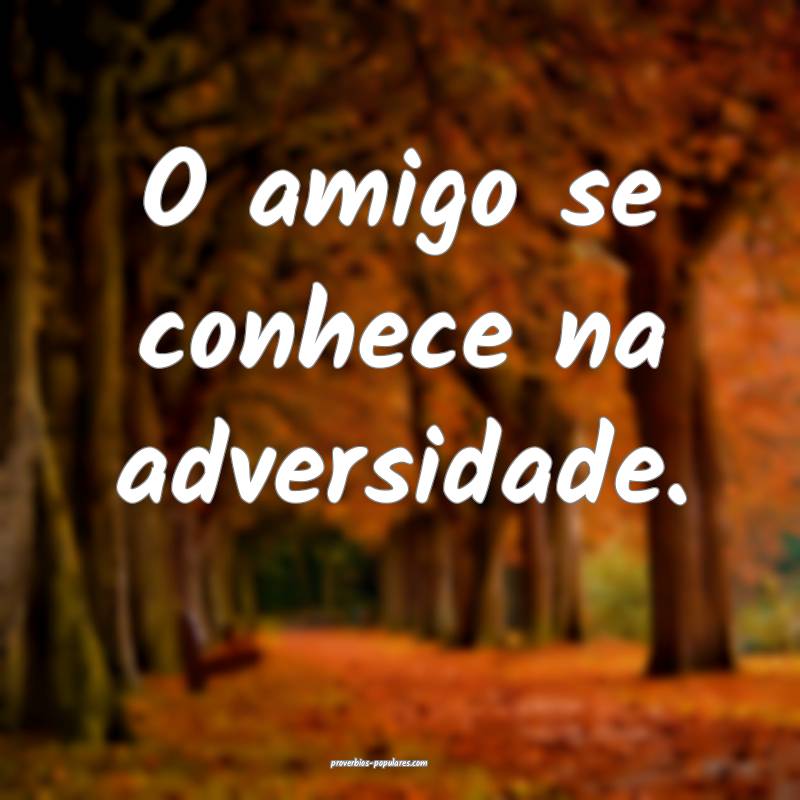 O amigo se conhece na adversidade.
...