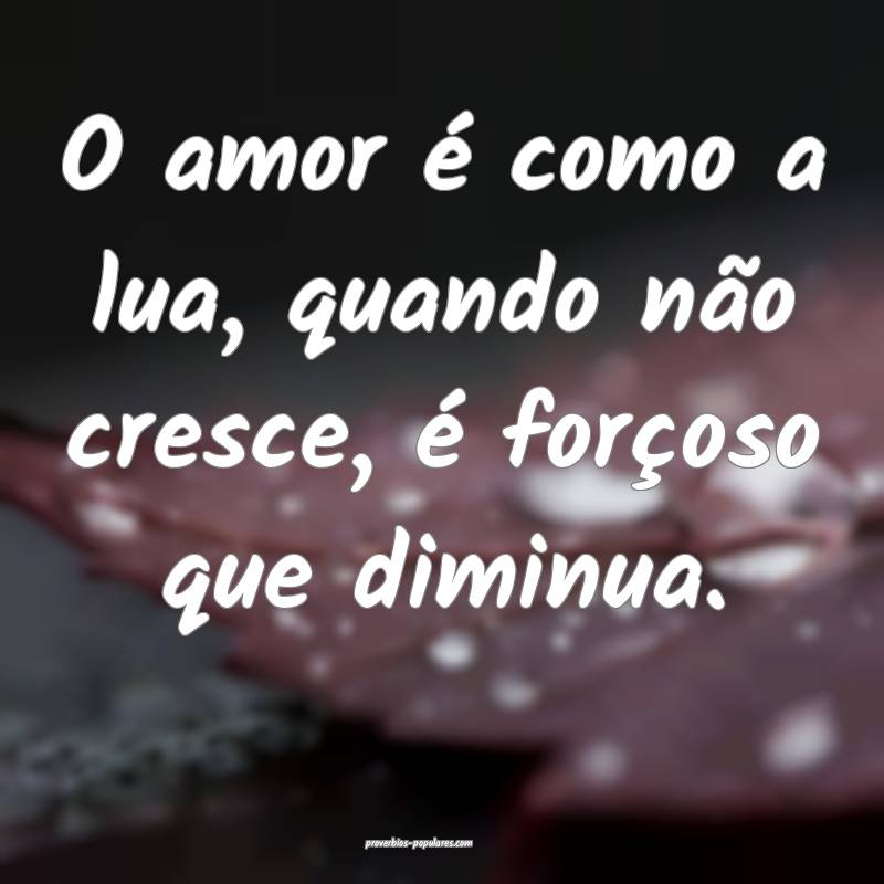 O amor é como a lua, quando não cresce, é forçoso que diminua.
...