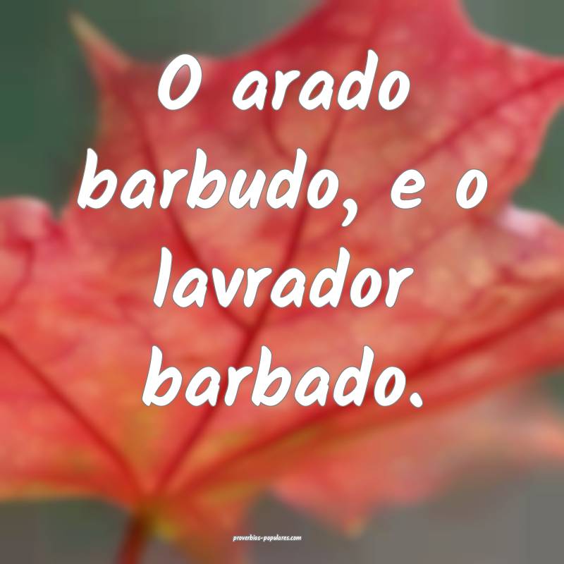 O arado barbudo, e o lavrador barbado.
 ...