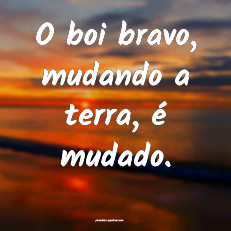 O boi bravo, mudando a terra, é mudado.
...