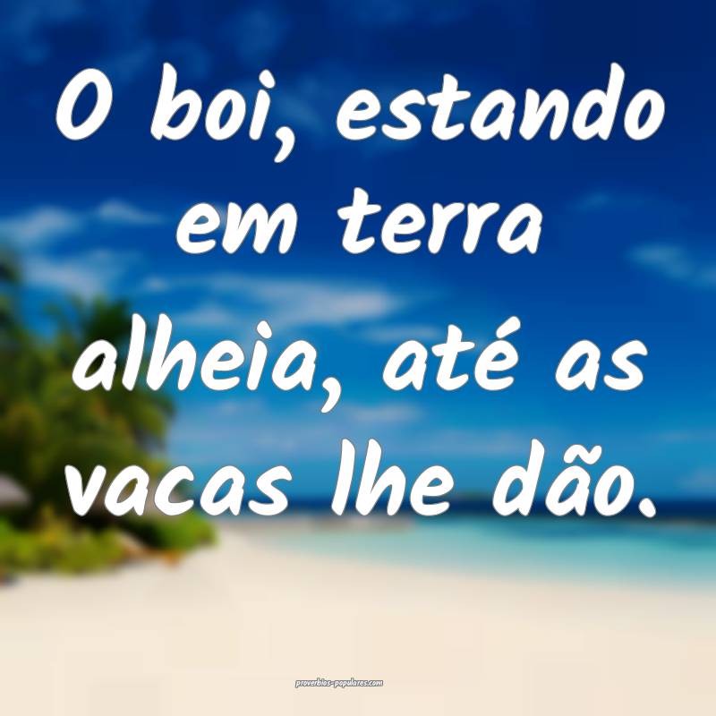 O boi, estando em terra alheia, até as vacas lhe dão.
...