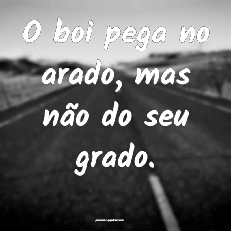 O boi pega no arado, mas não do seu grado.
...