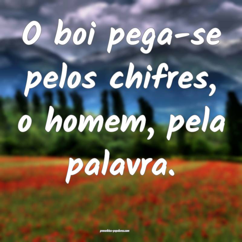 O boi pega-se pelos chifres, o homem, pela palavra.
...