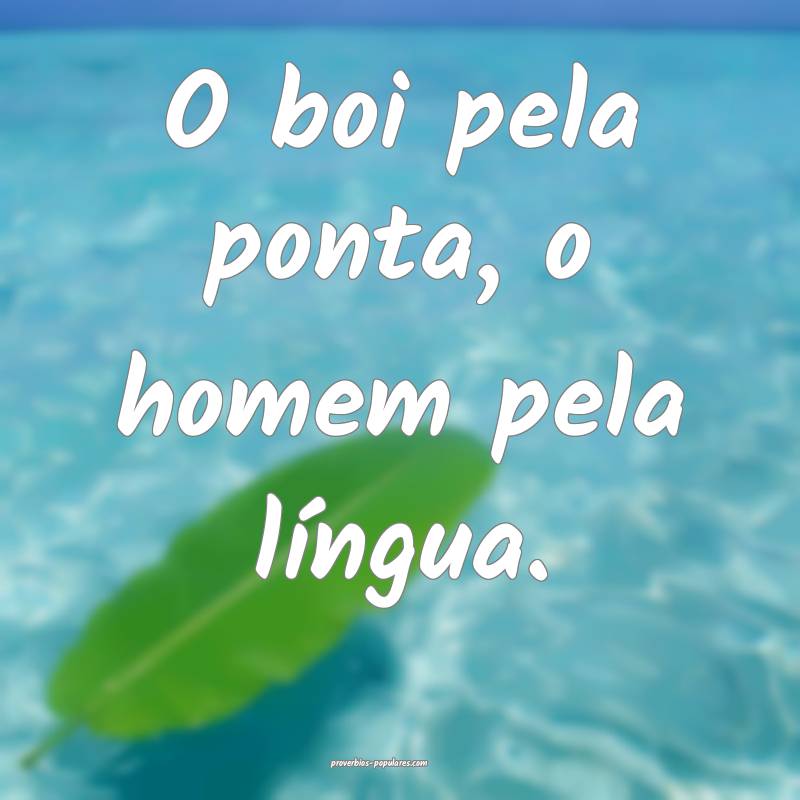 O boi pela ponta, o homem pela língua.
...