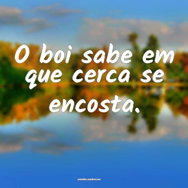 O boi sabe em que cerca se encosta.
...