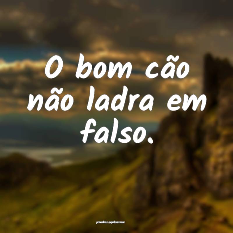O bom cão não ladra em falso.
...