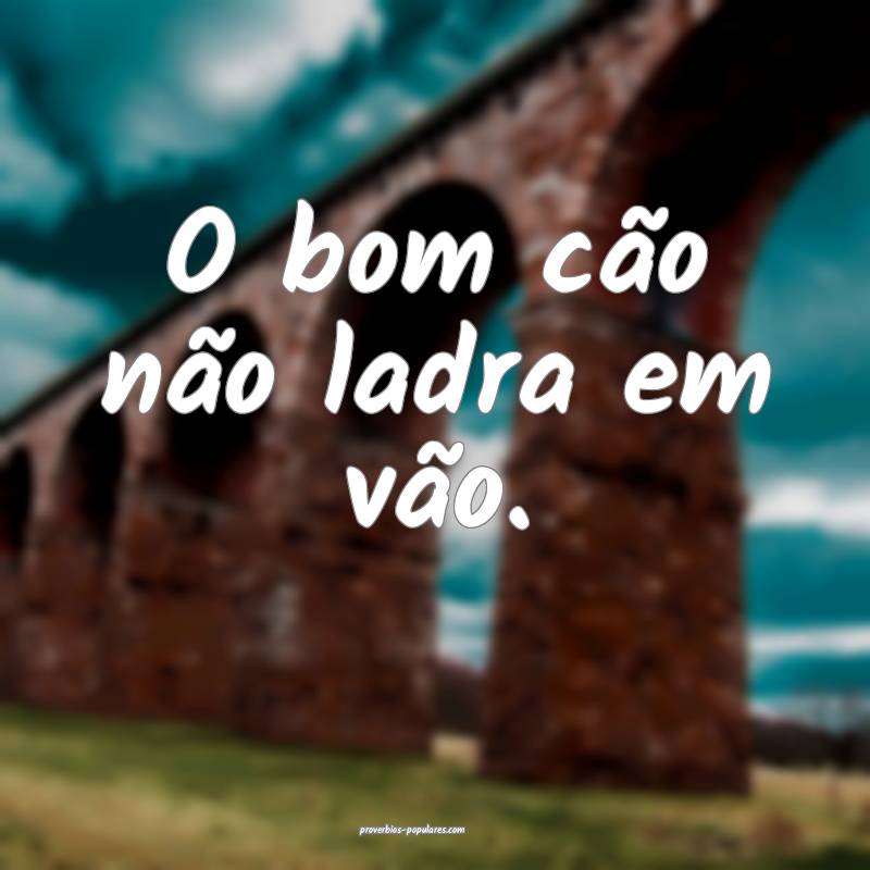 O bom cão não ladra em vão.
...