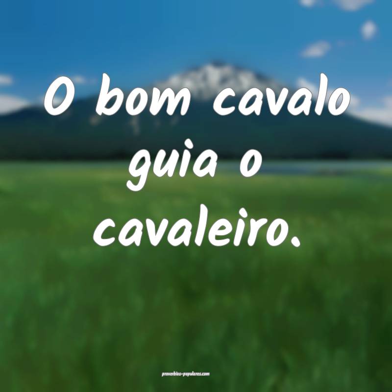 O bom cavalo guia o cavaleiro.
...