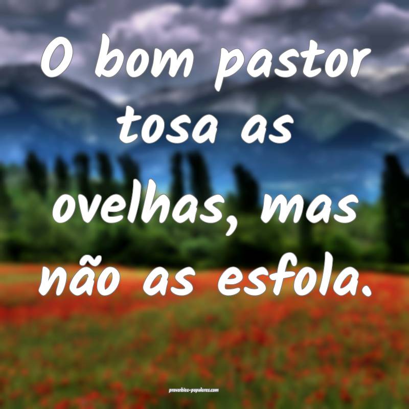 O bom pastor tosa as ovelhas, mas não as esfola.
 ...