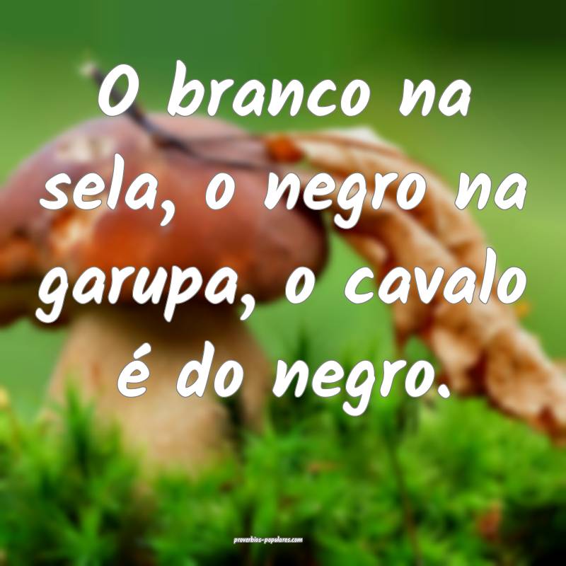 O branco na sela, o negro na garupa, o cavalo é do negro.
...