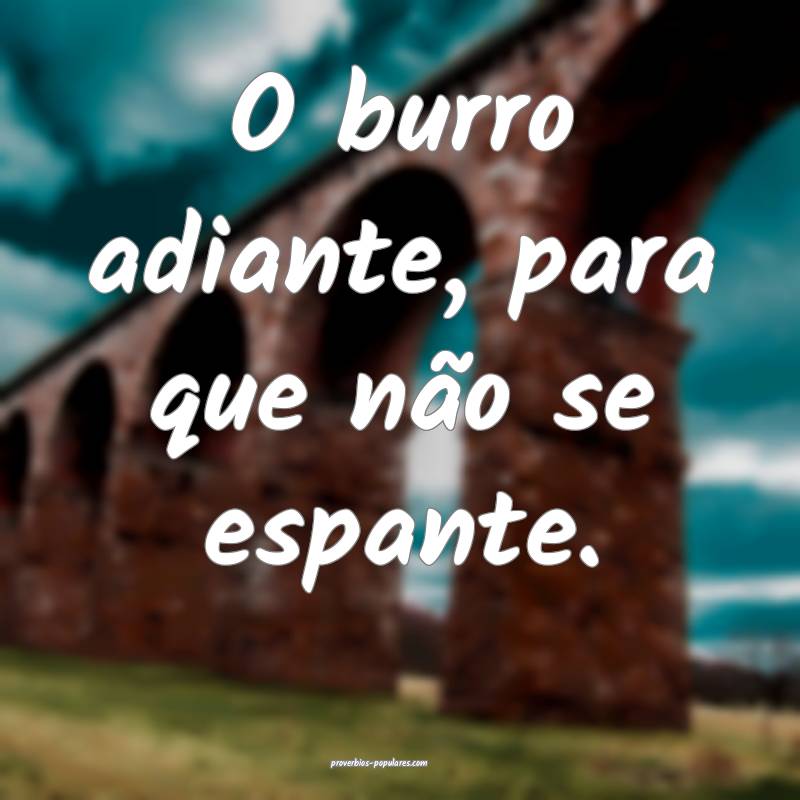 O burro adiante, para que não se espante.
...