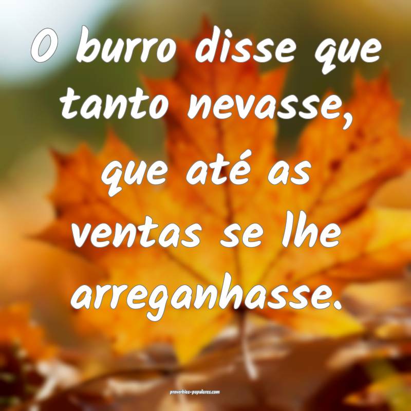 O burro disse que tanto nevasse, que até as venta ...