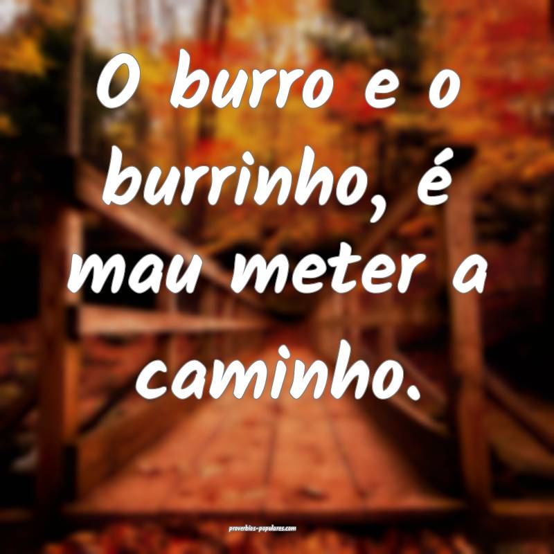 O burro e o burrinho, é mau meter a caminho.
...