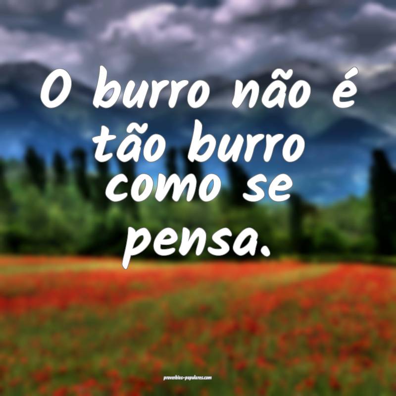 O burro não é tão burro como se pensa.
...