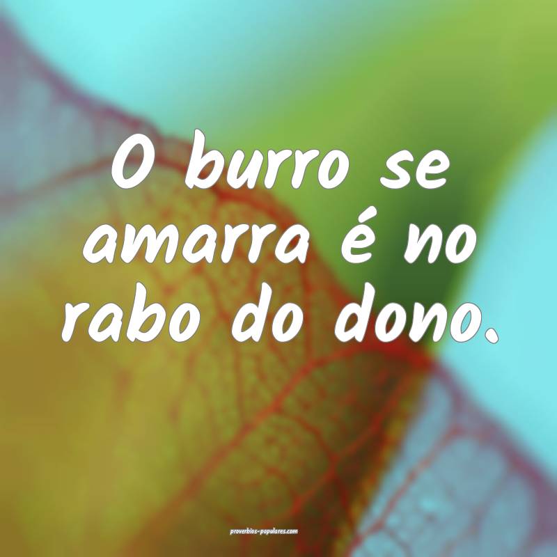 O burro se amarra é no rabo do dono.
...