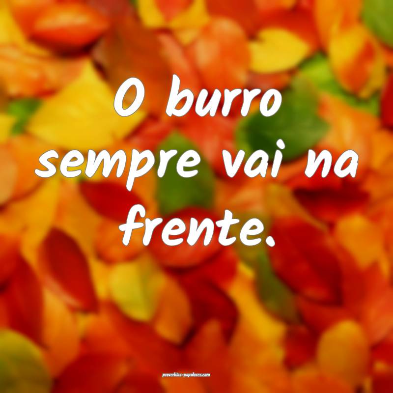 O burro sempre vai na frente.
 ...