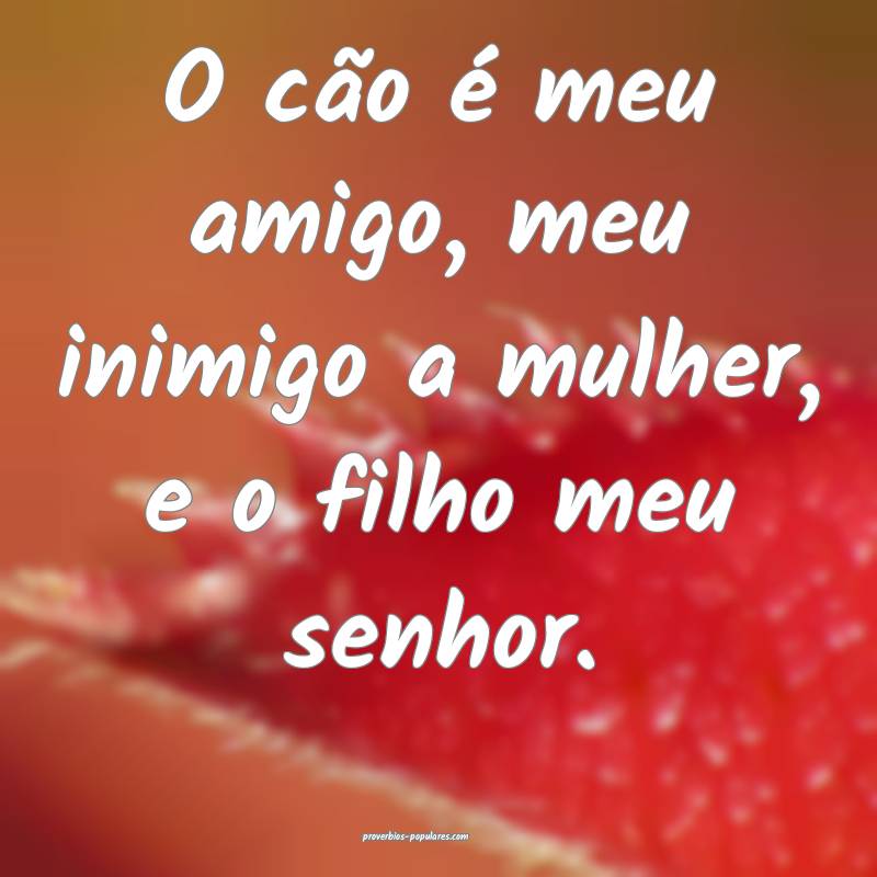 O cão é meu amigo, meu inimigo a mulher, e o fil ...