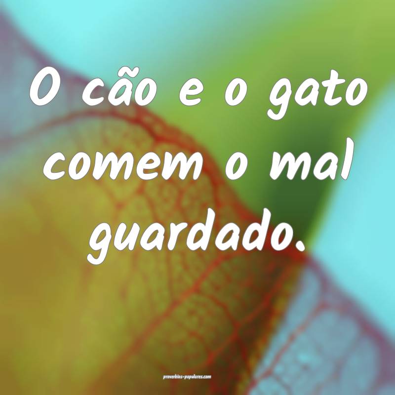 O cão e o gato comem o mal guardado.
 ...