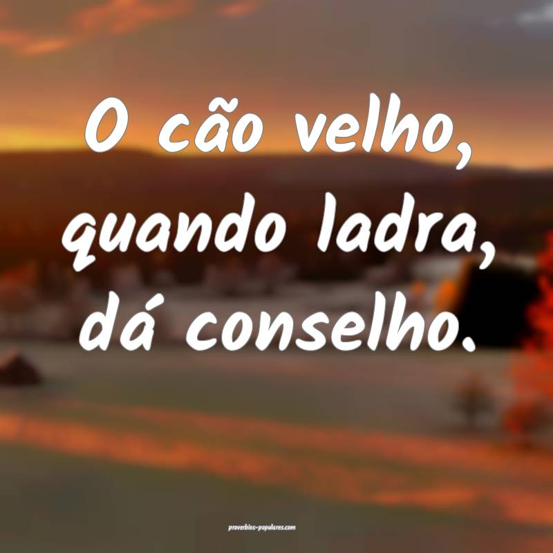 O cão velho, quando ladra, dá conselho.
...