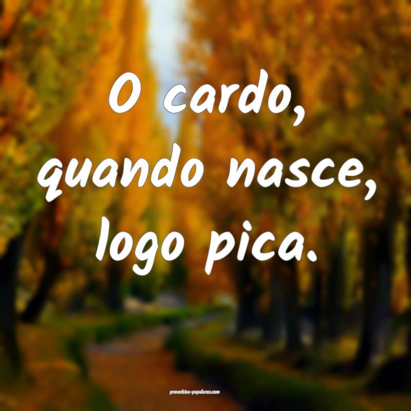 O cardo, quando nasce, logo pica.
...