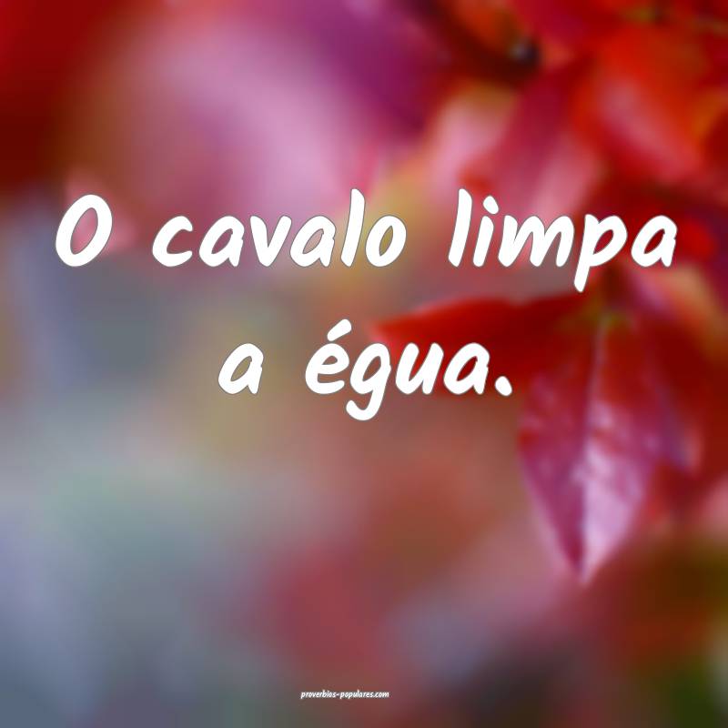 O cavalo limpa a égua.
...