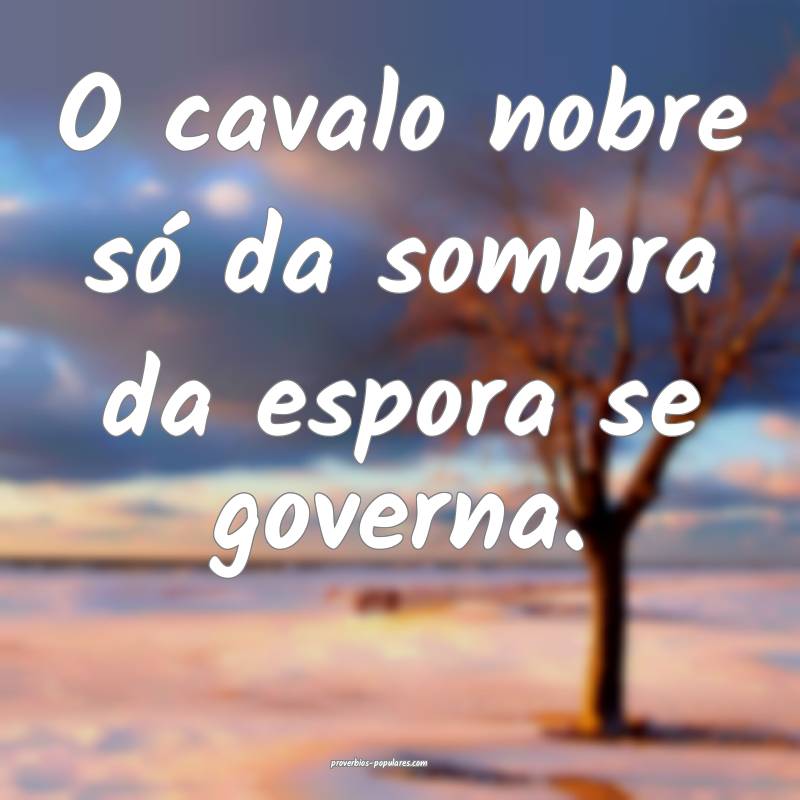 O cavalo nobre só da sombra da espora se governa.
...