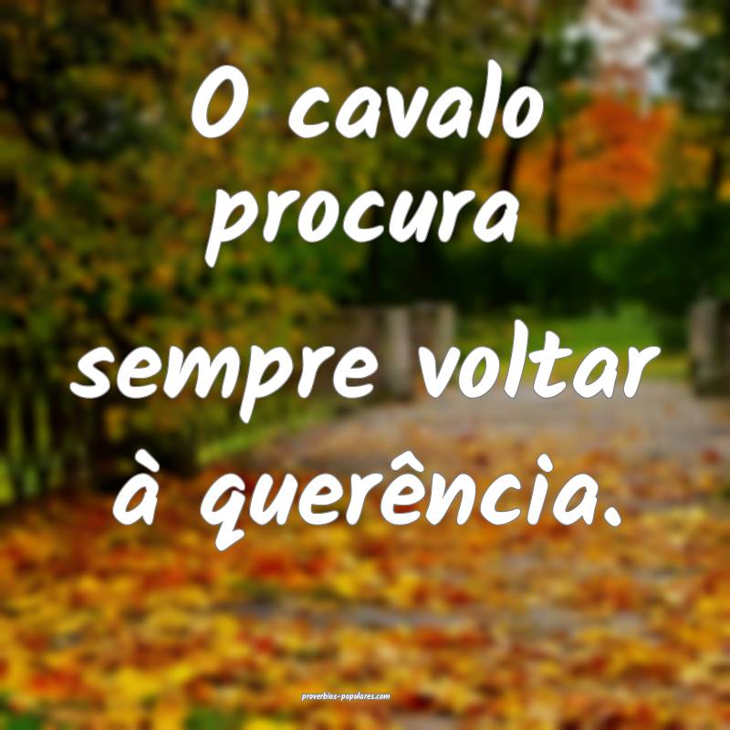 O cavalo procura sempre voltar à querência.
...