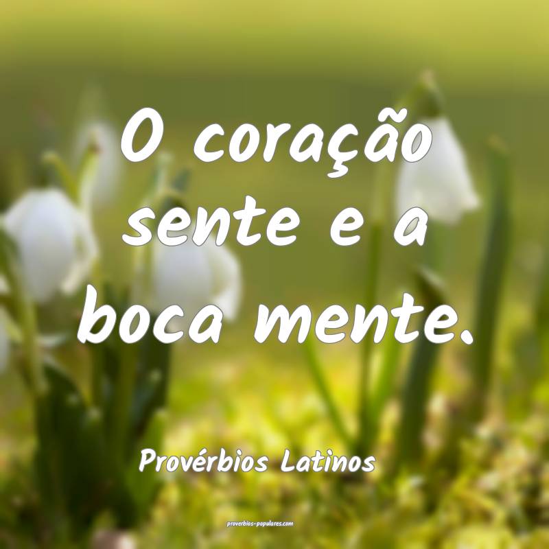 Provérbios Latinos - O coração sente e a boca m ...