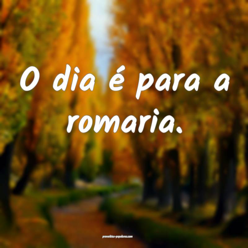 O dia é para a romaria.
 ...