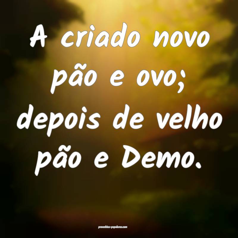 A criado novo pão e ovo; depois de velho pão e D ...