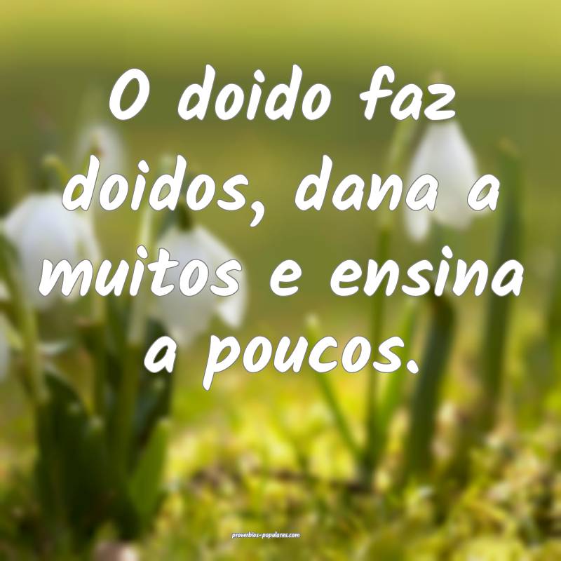 O doido faz doidos, dana a muitos e ensina a pouco ...