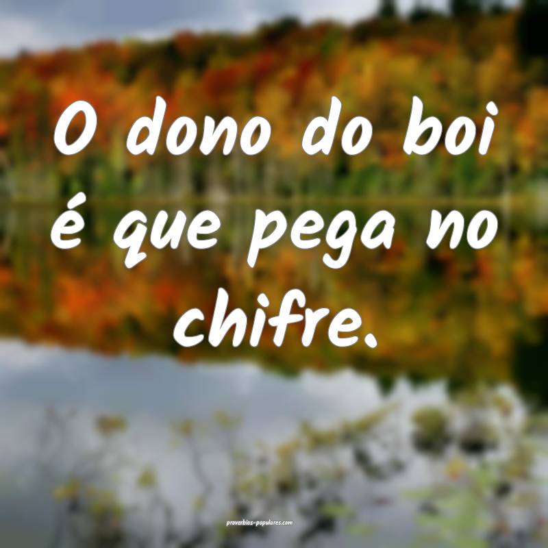 O dono do boi é que pega no chifre.
...
