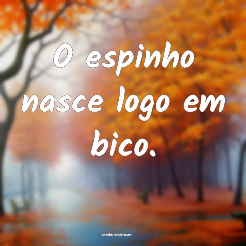 O espinho nasce logo em bico.
...