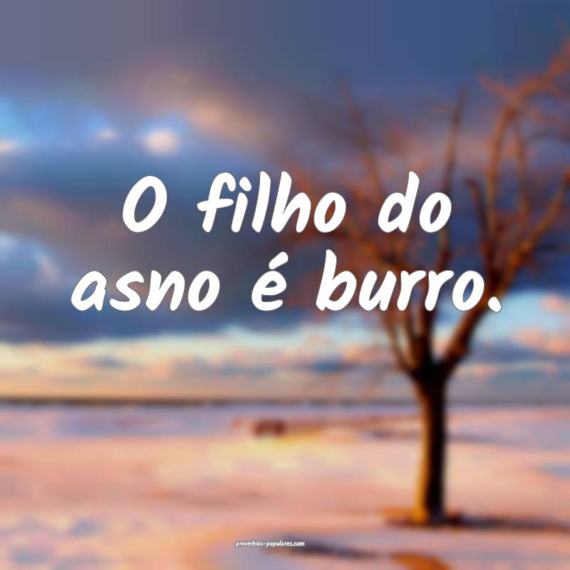 O filho do asno é burro.
...