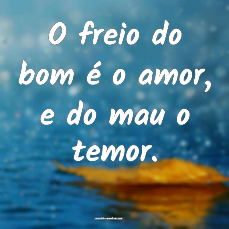 O freio do bom é o amor, e do mau o temor.
...