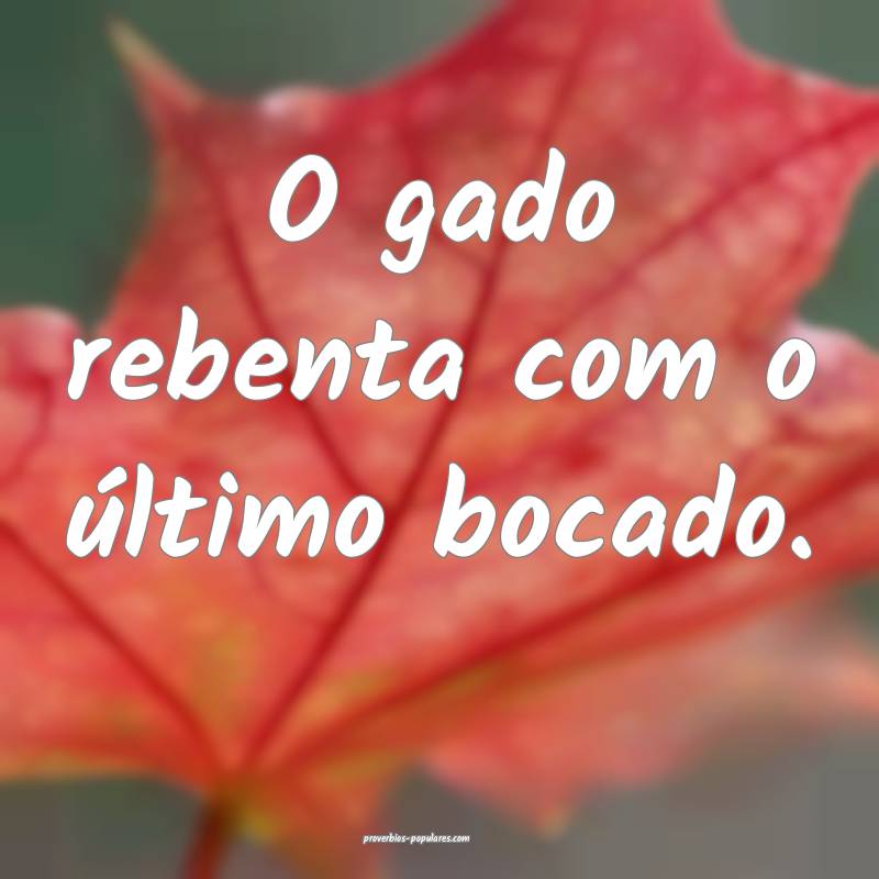 O gado rebenta com o último bocado.
 ...