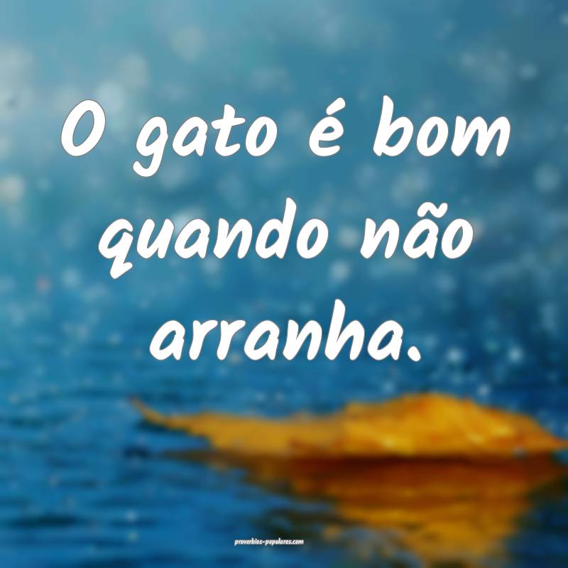 O gato é bom quando não arranha.
...