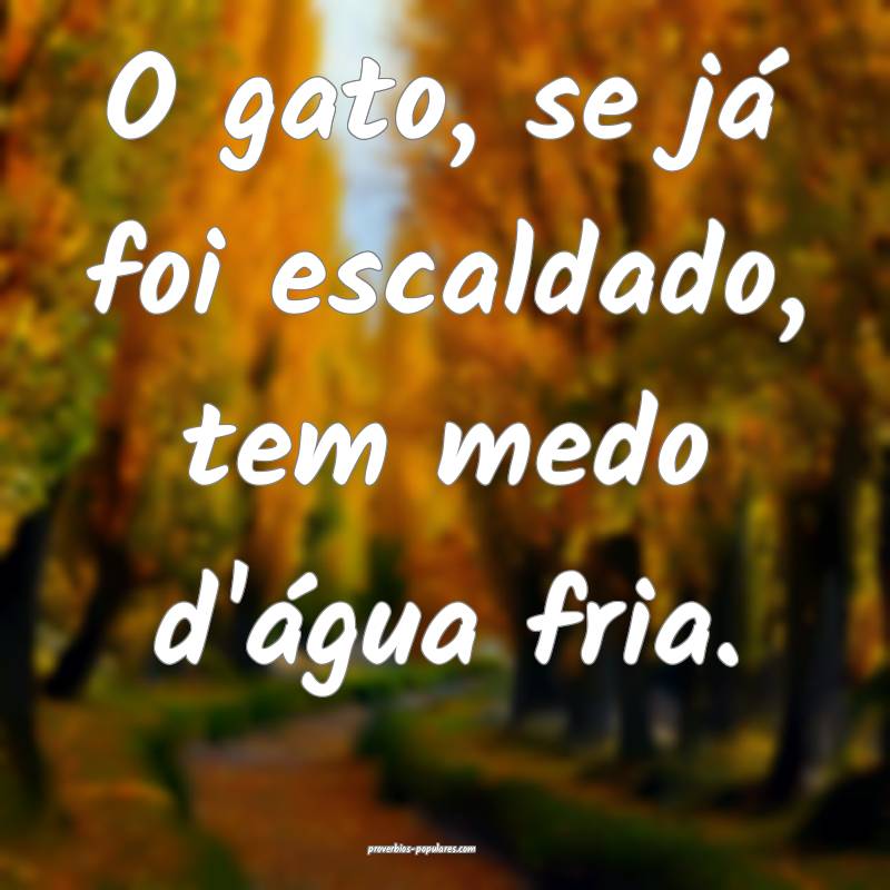 O gato, se já foi escaldado, tem medo d'água fria.
...