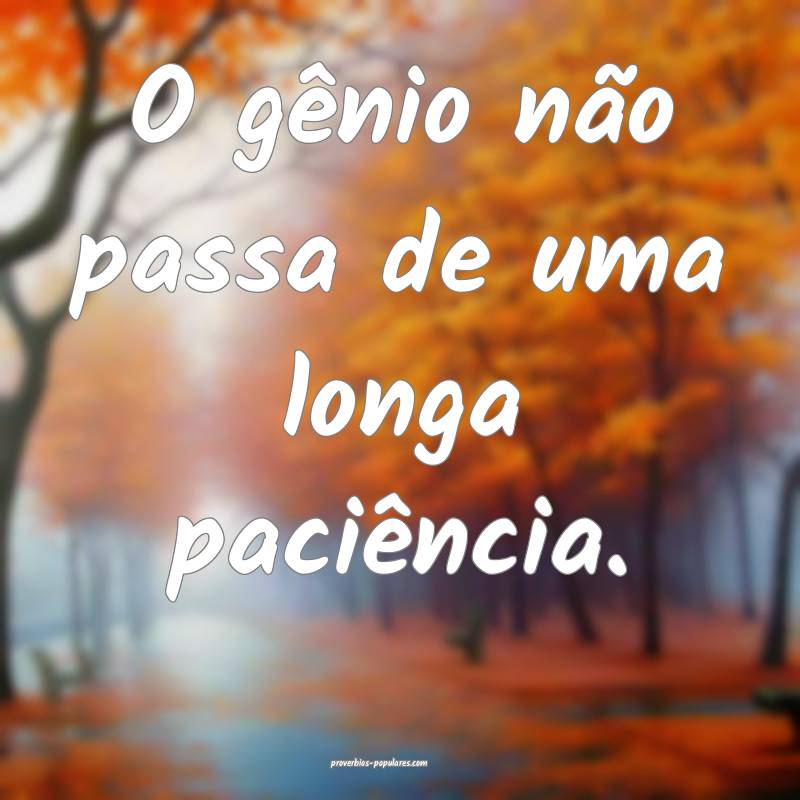 O gênio não passa de uma longa paciência.
...