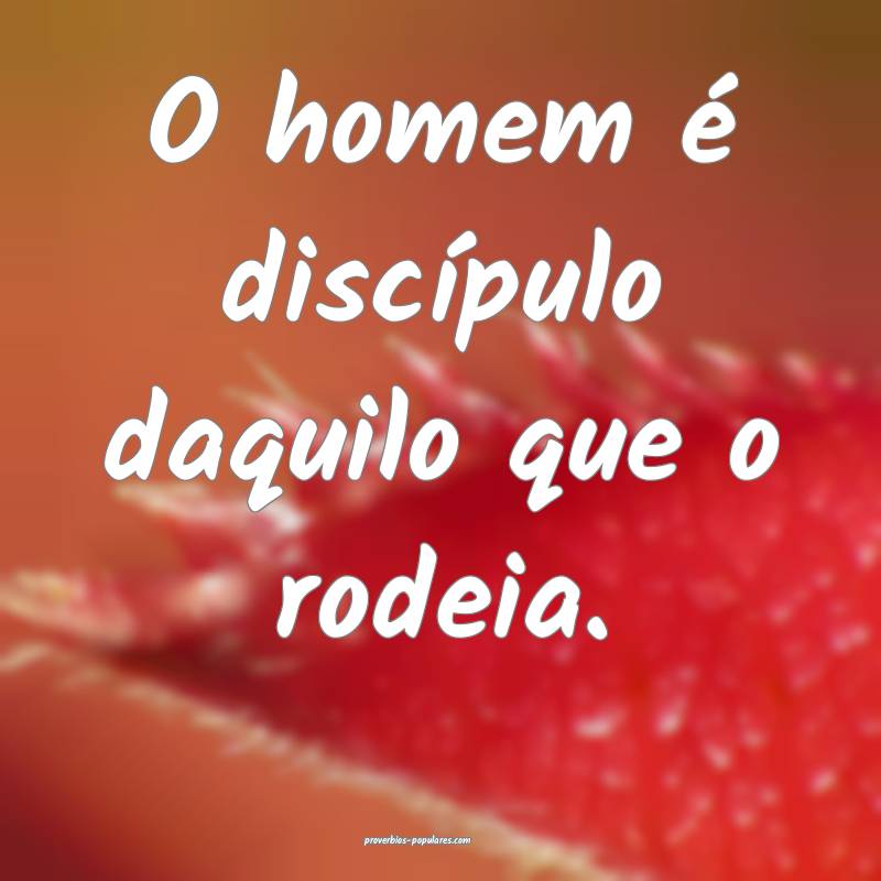 O homem é discípulo daquilo que o rodeia.
...