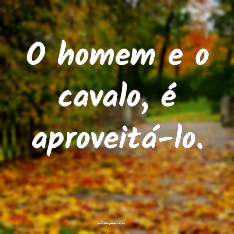 O homem e o cavalo, é aproveitá-lo.
...