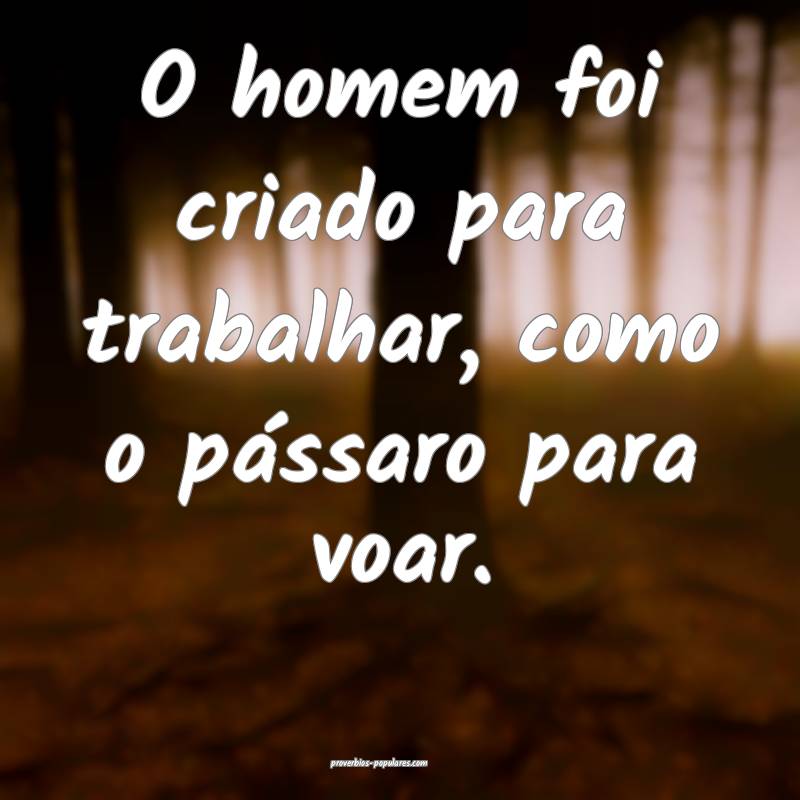 O homem foi criado para trabalhar, como o pássaro para voar.
...