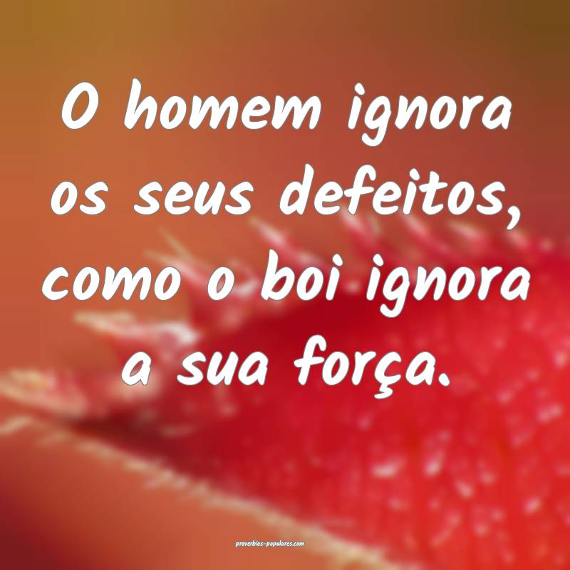 O homem ignora os seus defeitos, como o boi ignora a sua força.
...