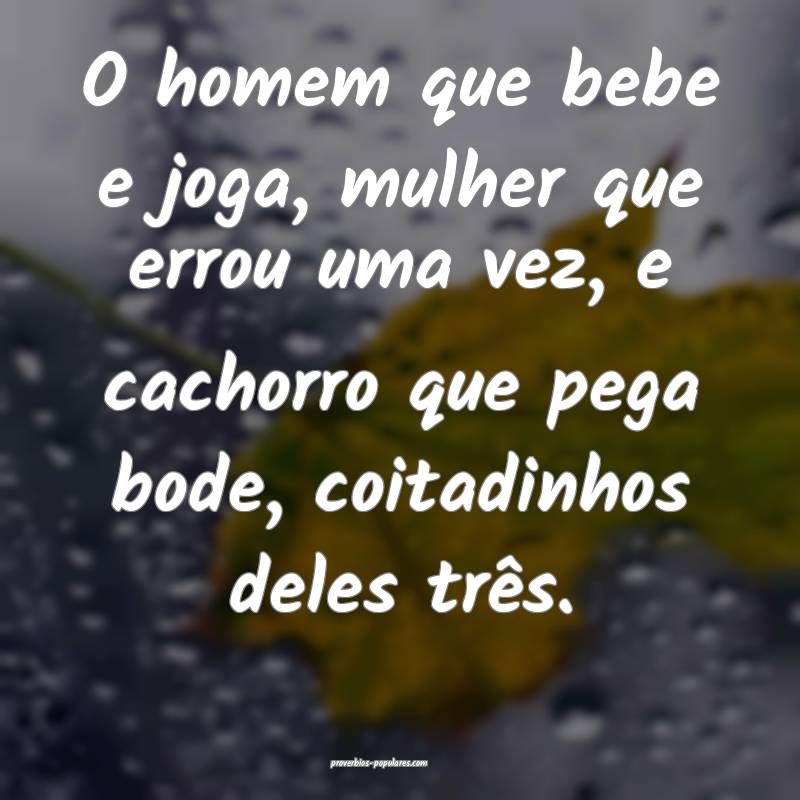 O homem que bebe e joga, mulher que errou uma vez, e cachorro que pega...
